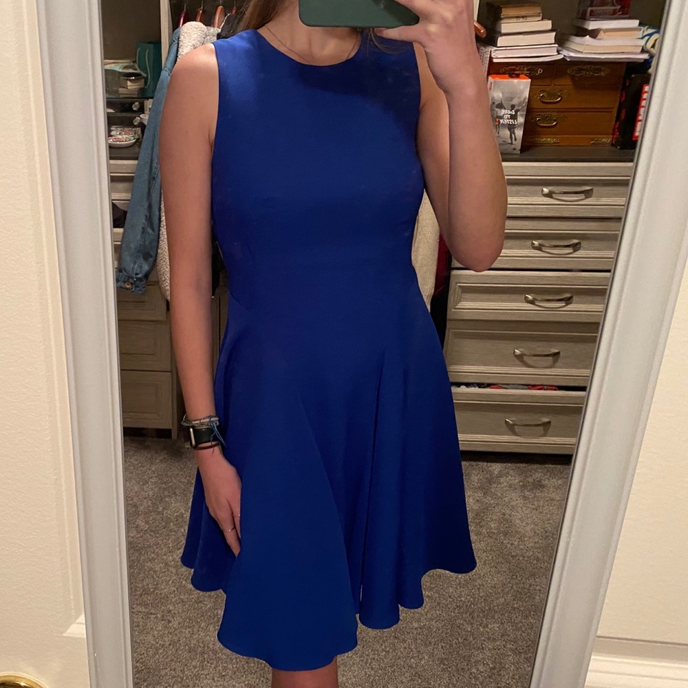 Blue Flare Dress Eliza J